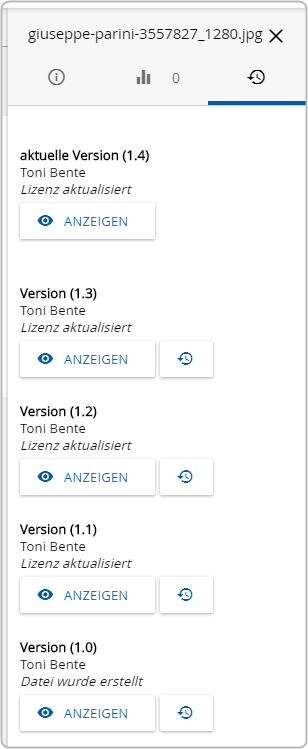 Detailbereich Alle Versionen des Objektes