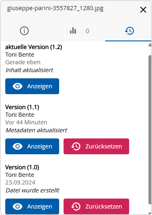 Detailbereich Alle Versionen des Objektes